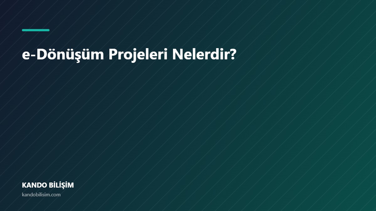 e-Dönüşüm Projeleri Nelerdir?