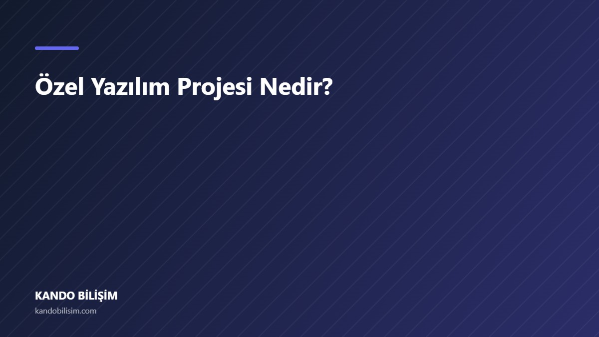 Özel Yazılım Projesi Nedir?